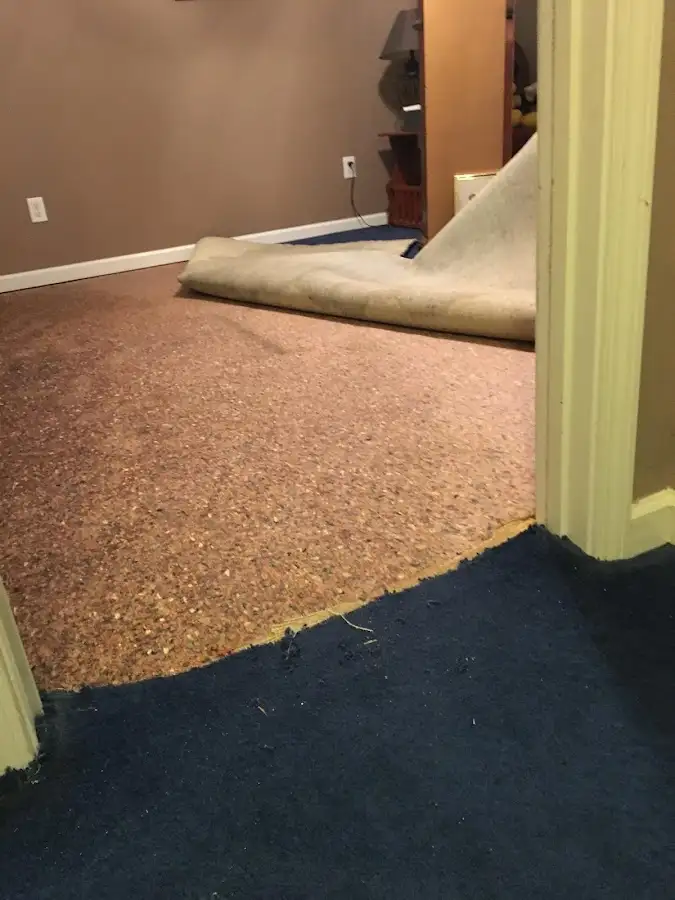 Carpet pad removal revealing water damage during Water Mitigation Services in Richland
